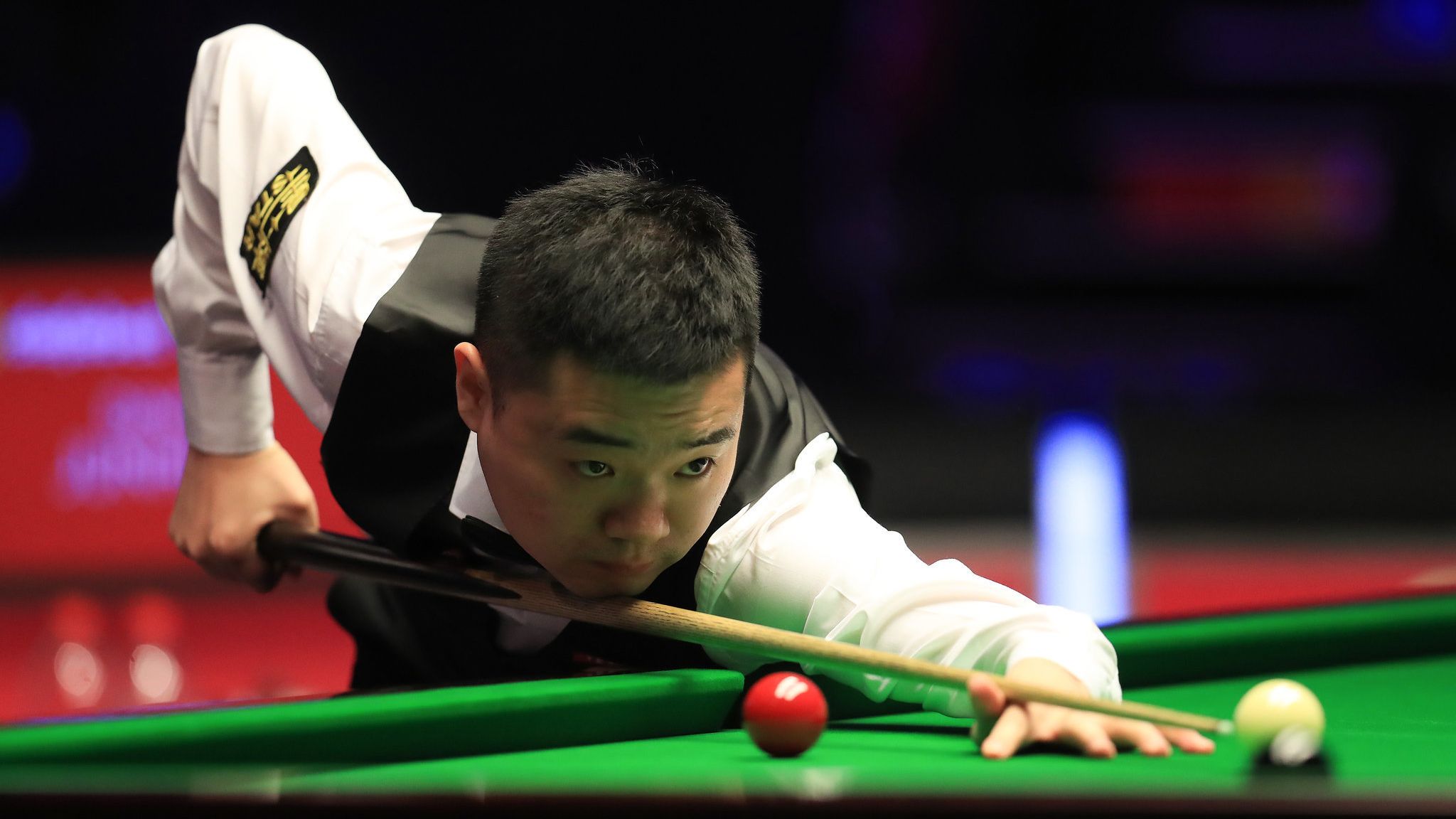 迷的热烈讨 迷的热烈讨