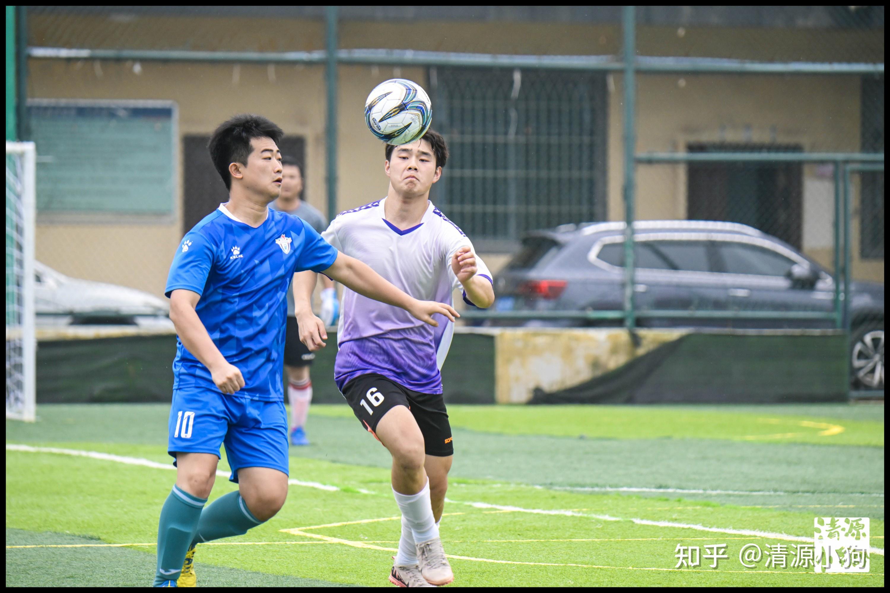 战术鲁棒性 战术鲁棒性